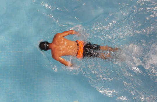 Arm propulsion in butterfly swimming for speed                                                                        